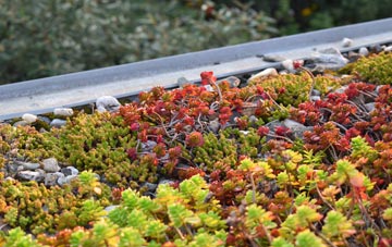 the cost of Ringmore green roof installation