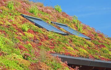 Ringmore living roof systems